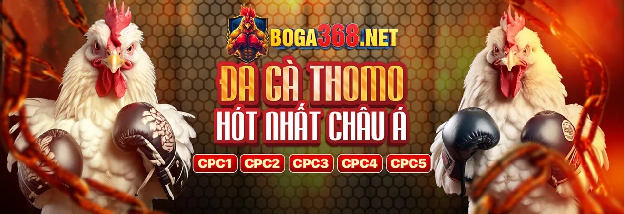 Tổng hợp các trò chơi đa dạng trên ứng dụng S666me