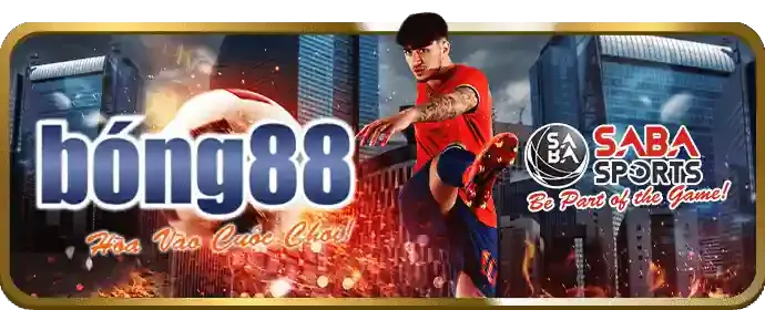 Chiến lược cá cược thể thao hiệu quả